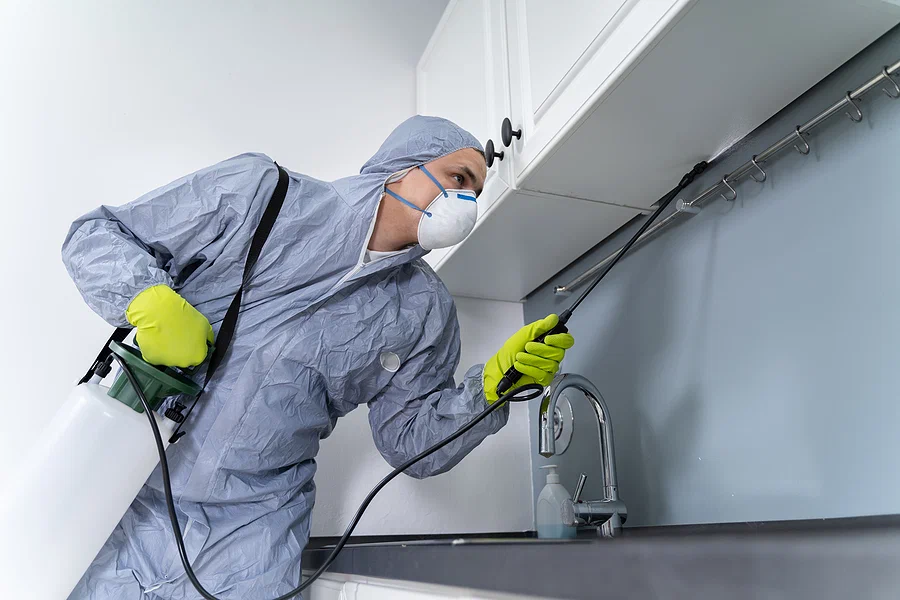 شركة التخلص من العتة في البيت بالدمام