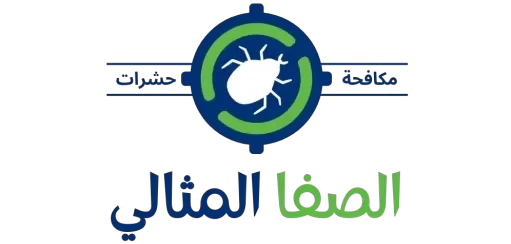 الصفا المثالي