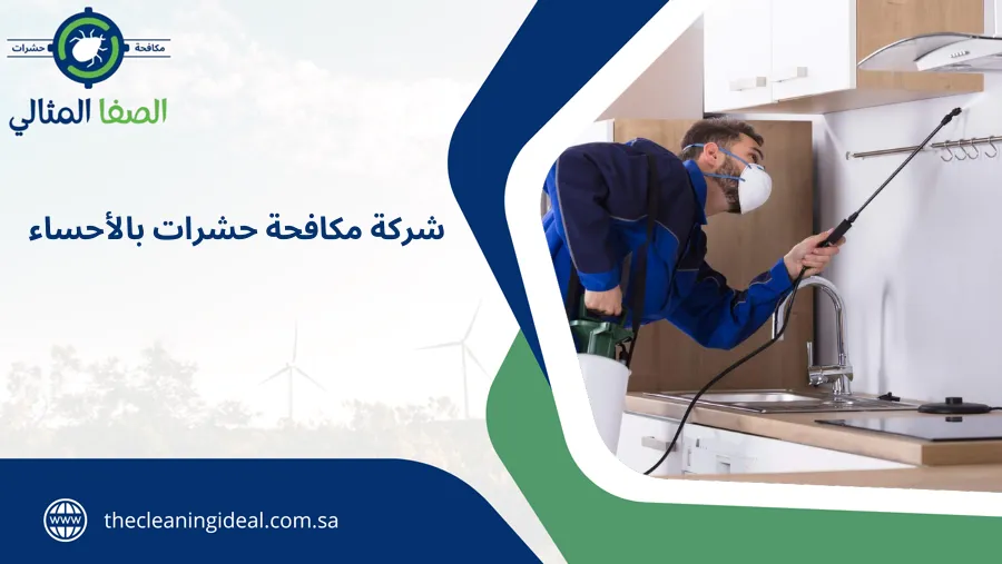 شركة مكافحة حشرات بالأحساء