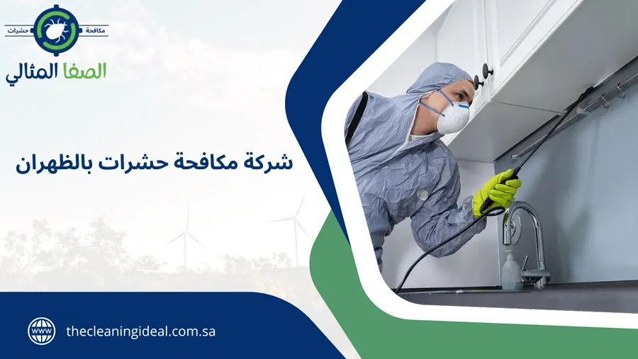 شركة مكافحة حشرات بالظهران
