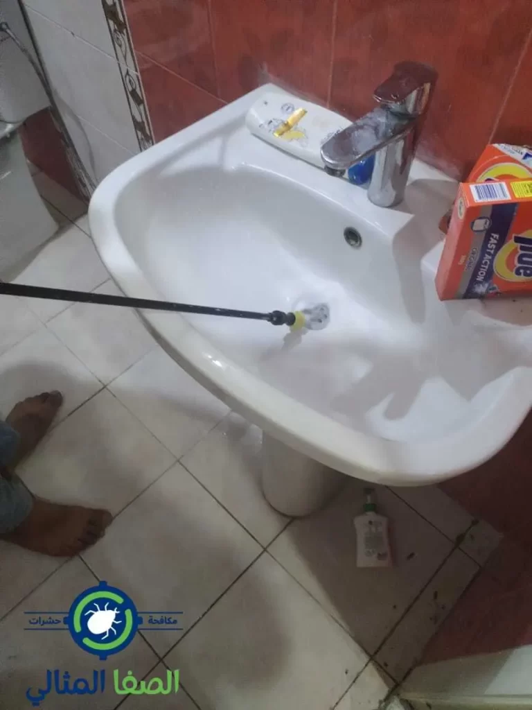 القضاء علي الحشرات