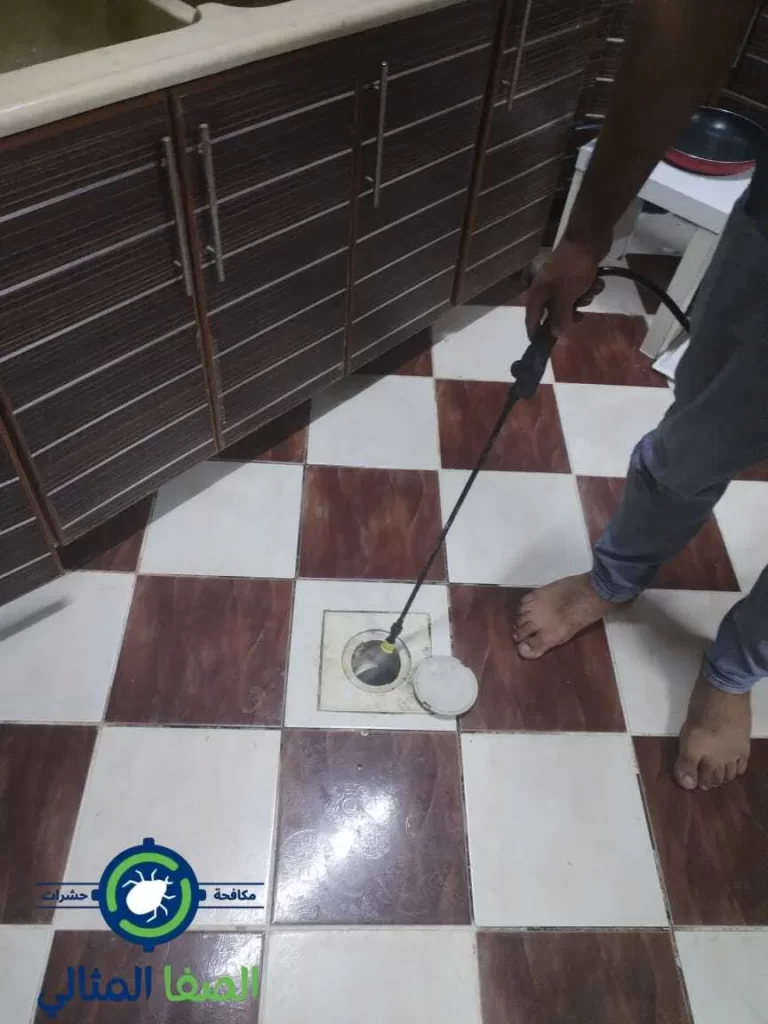 شركة القضاء على العتة بالدمام