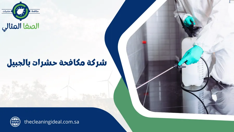 شركة مكافحة حشرات بالجبيل