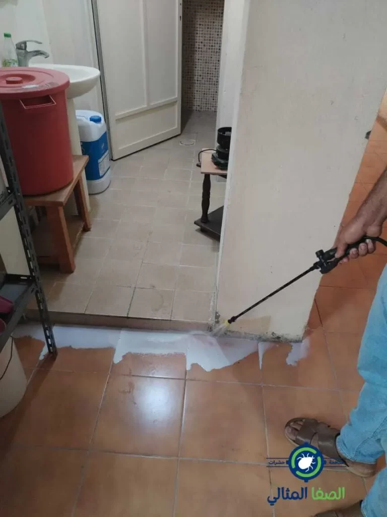 التخلص من الحشرات