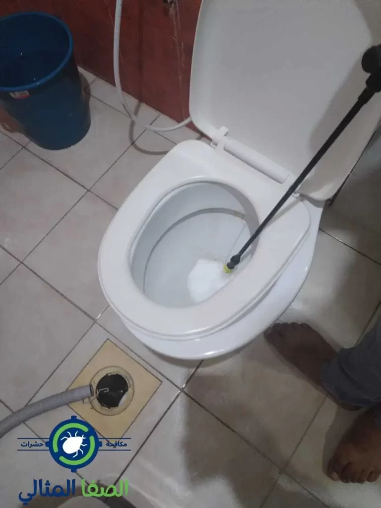 شركة مكافحة حشرات