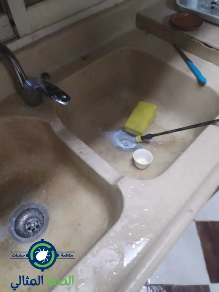 شركة مكافحة حشرات