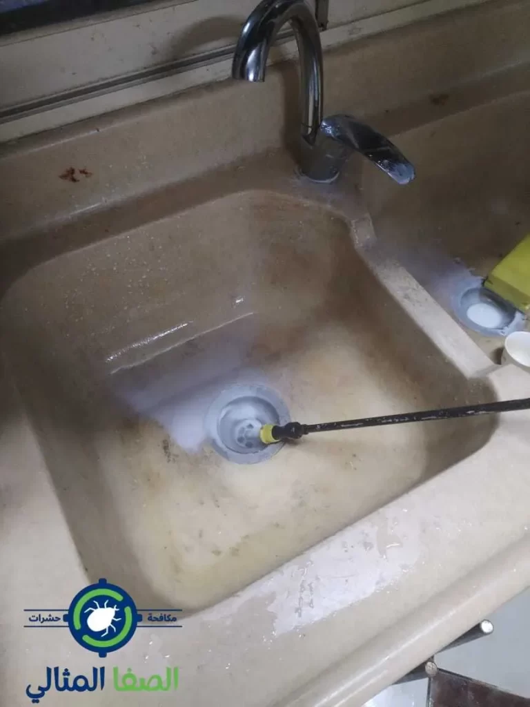 شركة مكافحة حشرات بالخفجي
