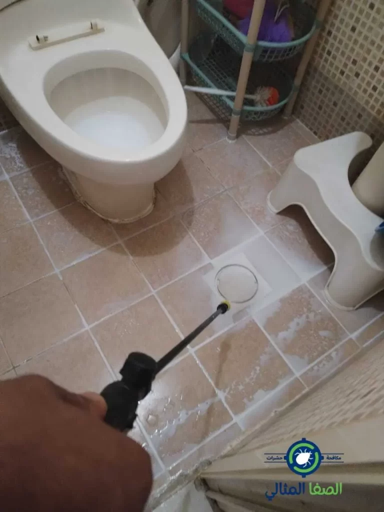 شركة مكافحة حشرات