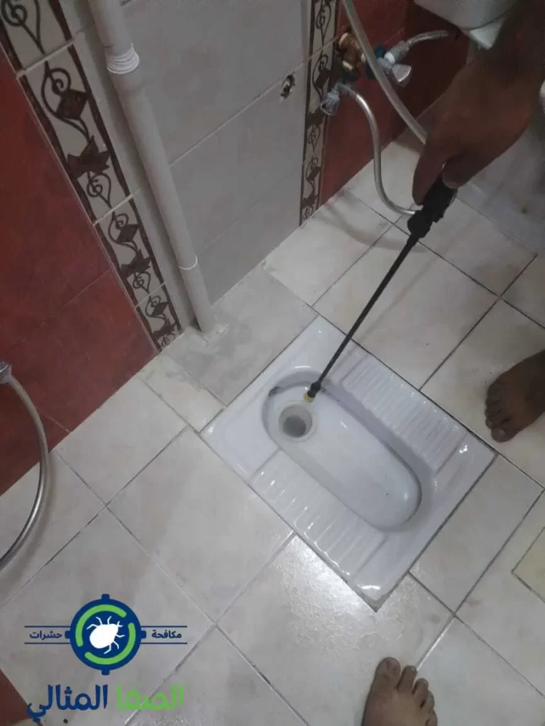 شركة مكافحة حشرات