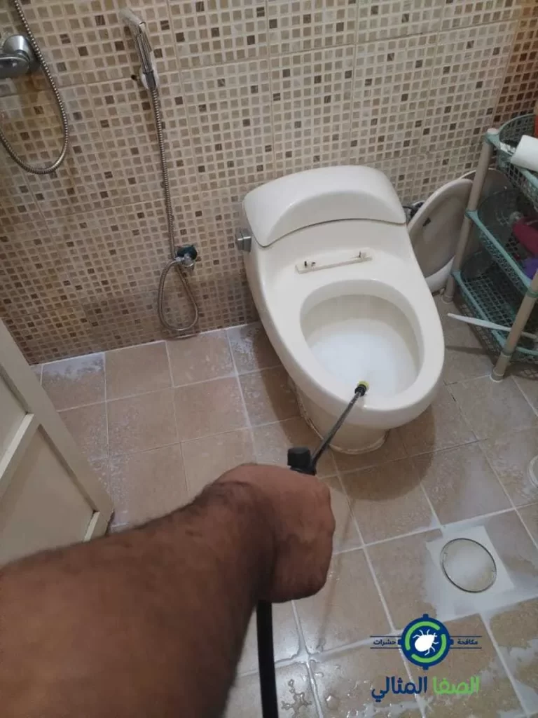 شركة مكافحة حشرات بالأحساء