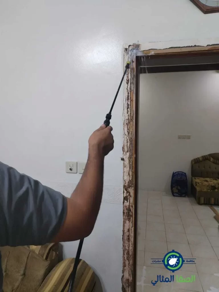 فني مكافحة حشرات