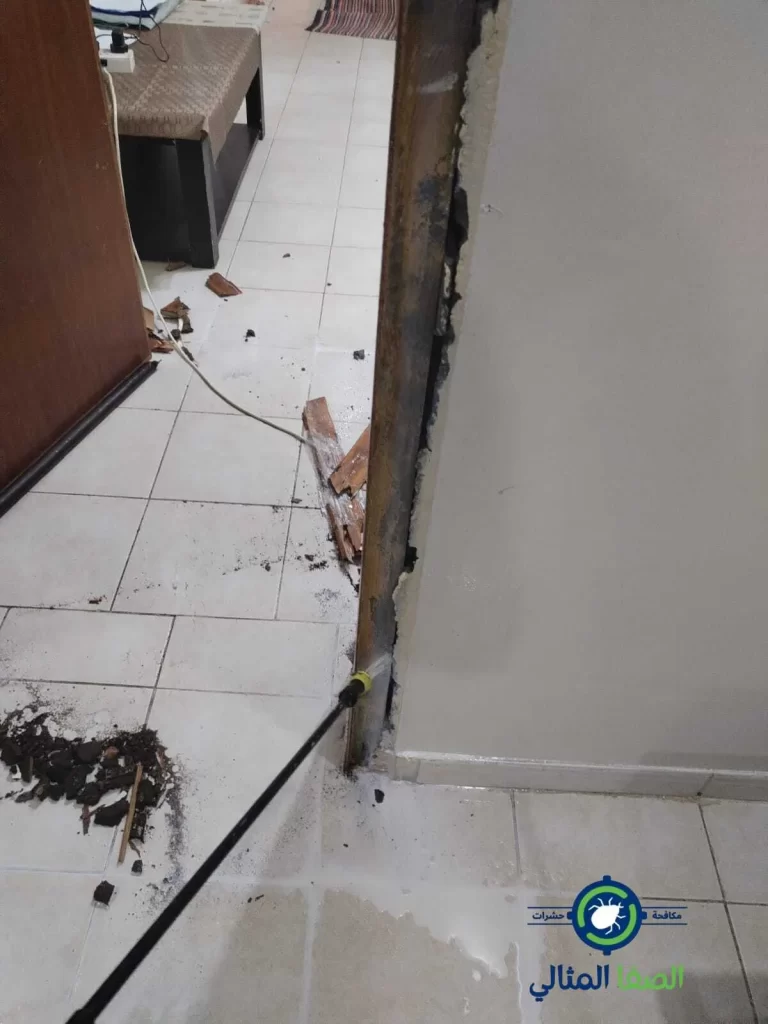 مكافحة الحشرات