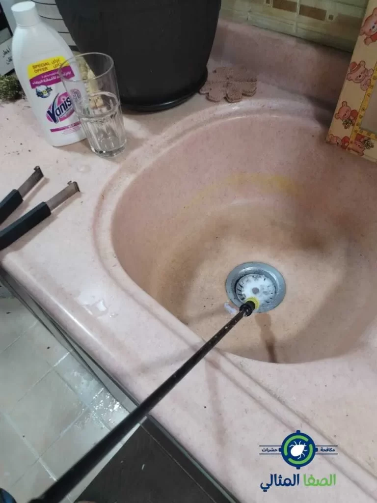 شركة مكافحة حشرات بالدمام