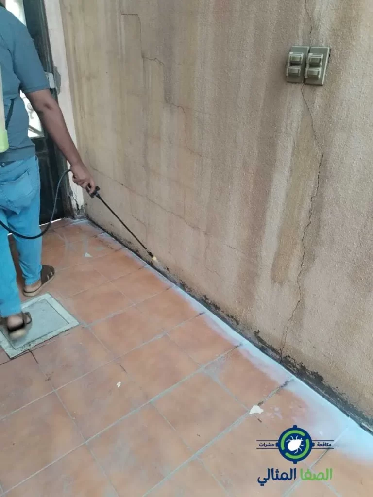 افضل شركة مكافحة حشرات