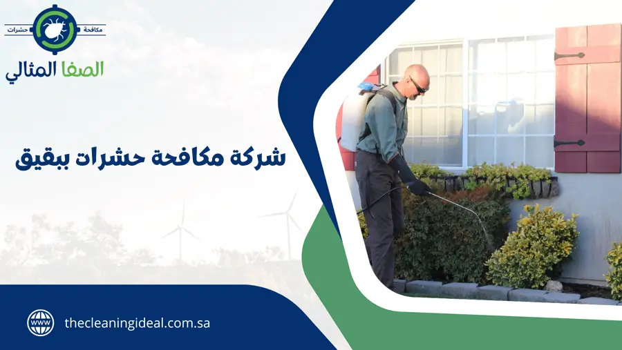 شركة مكافحة حشرات ببقيق