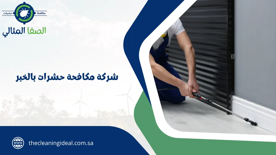 شركة مكافحة حشرات بالخبر
