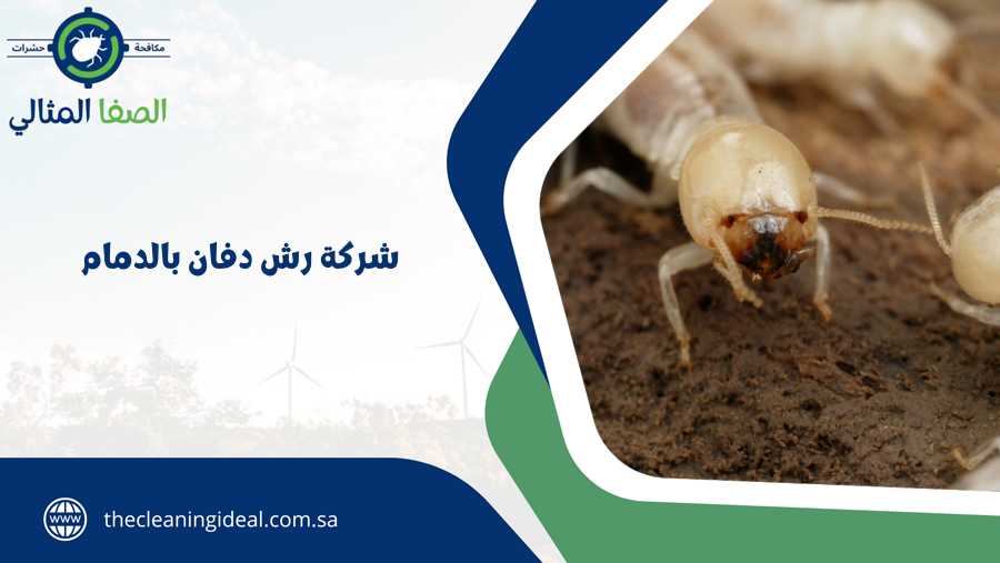 شركة رش دفان بالدمام