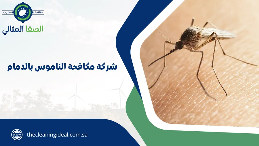 شركة مكافحة الناموس بالدمام