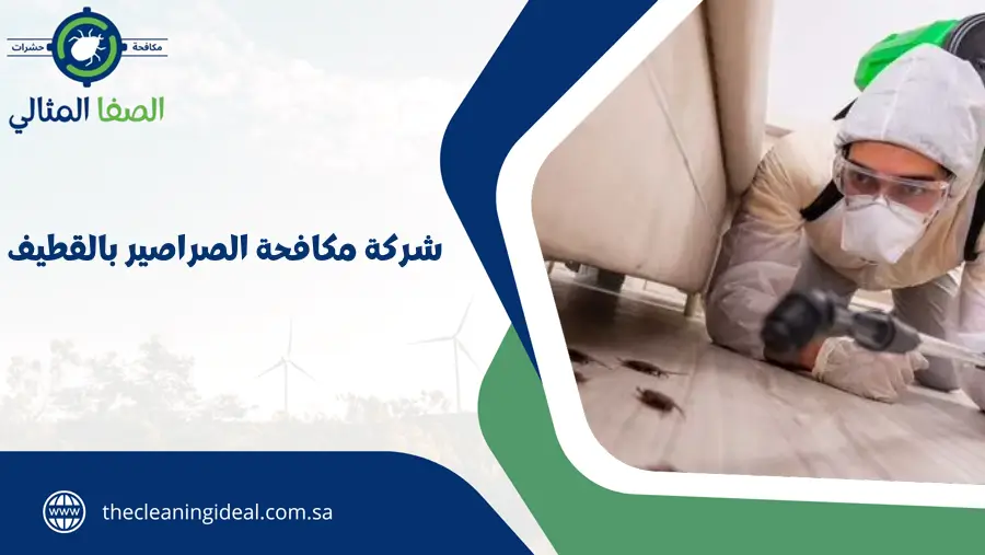 شركة مكافحة الصراصير بالقطيف