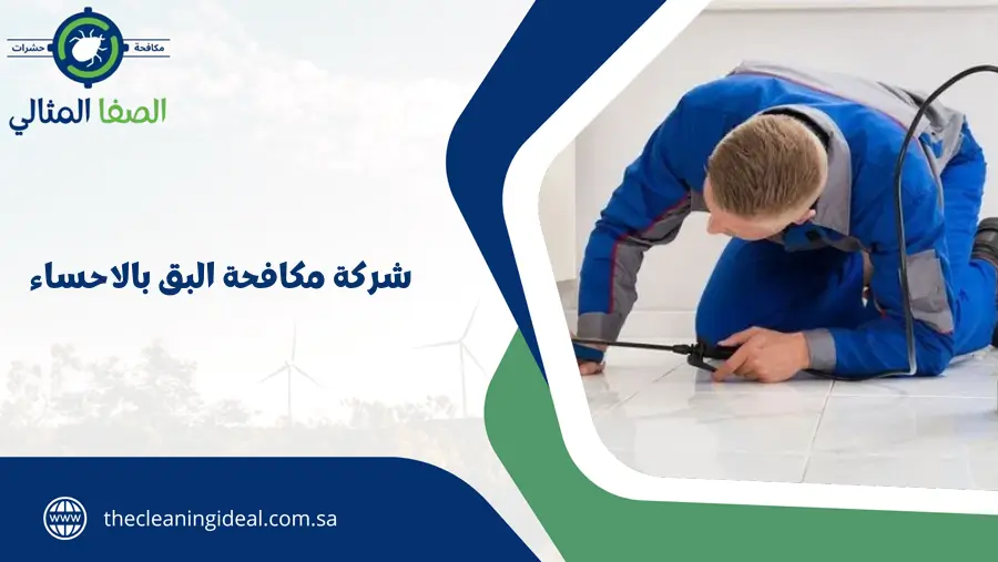 شركة مكافحة البق بالاحساء