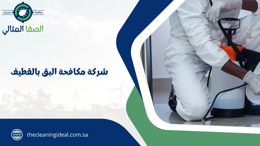 شركة مكافحة البق بالقطيف