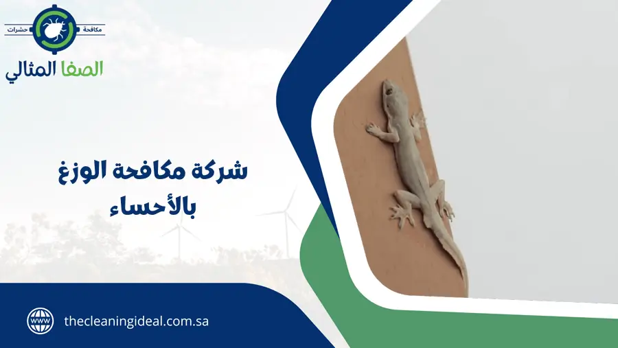 شركة مكافحة الوزغ بالأحساء