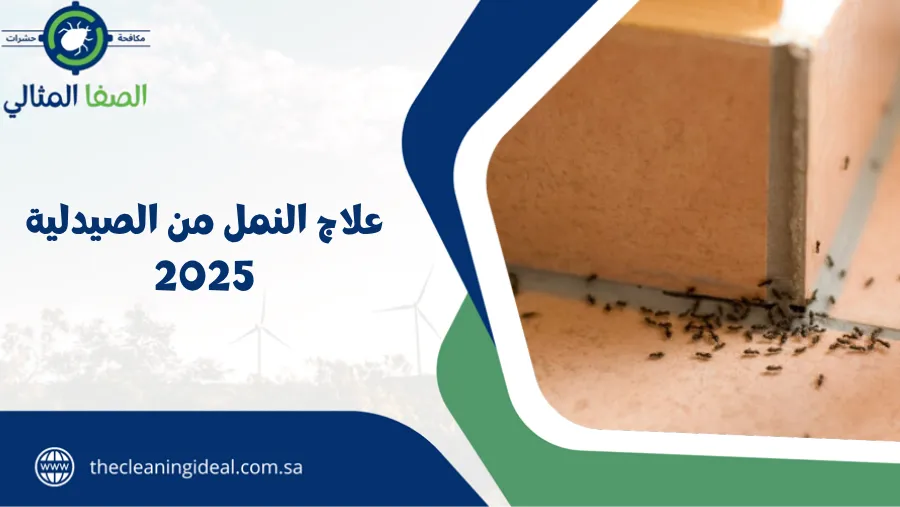 علاج النمل من الصيدلية 2026 | الصفا المثالي