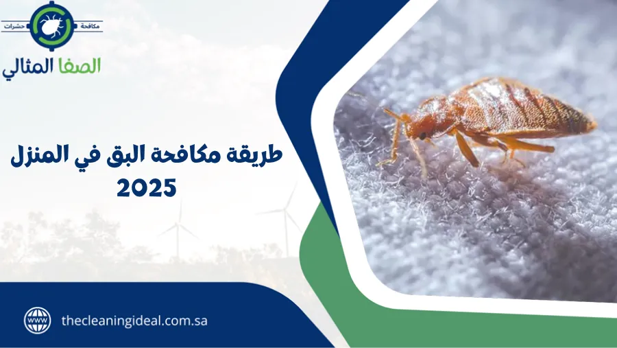 طريقة مكافحة البق في المنزل