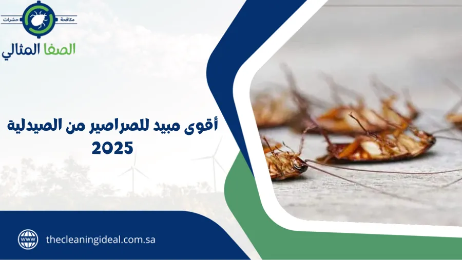 أقوى مبيد للصراصير من الصيدلية 2025