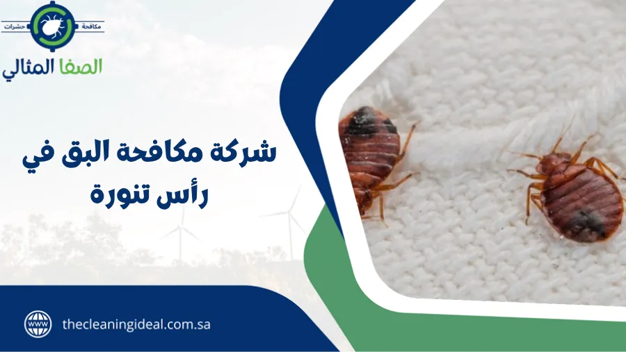 شركة مكافحة البق في رأس تنورة