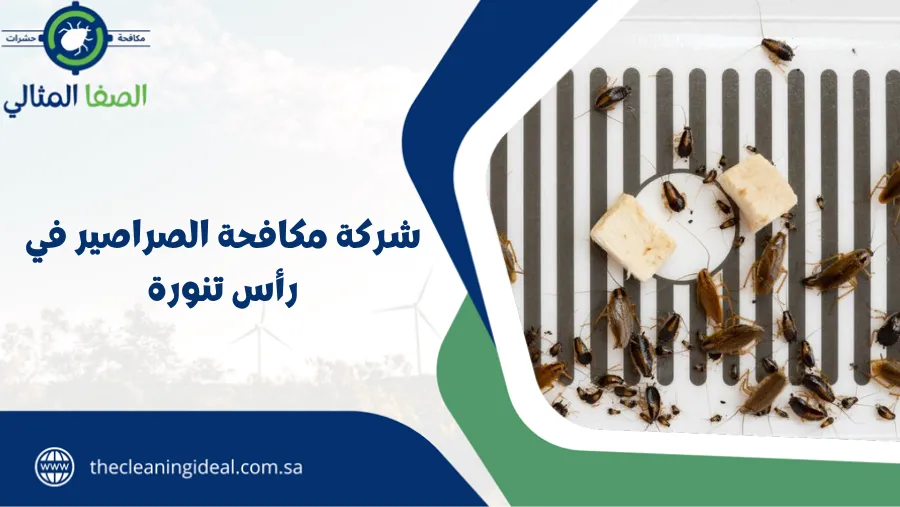 شركة مكافحة الصراصير في رأس تنورة