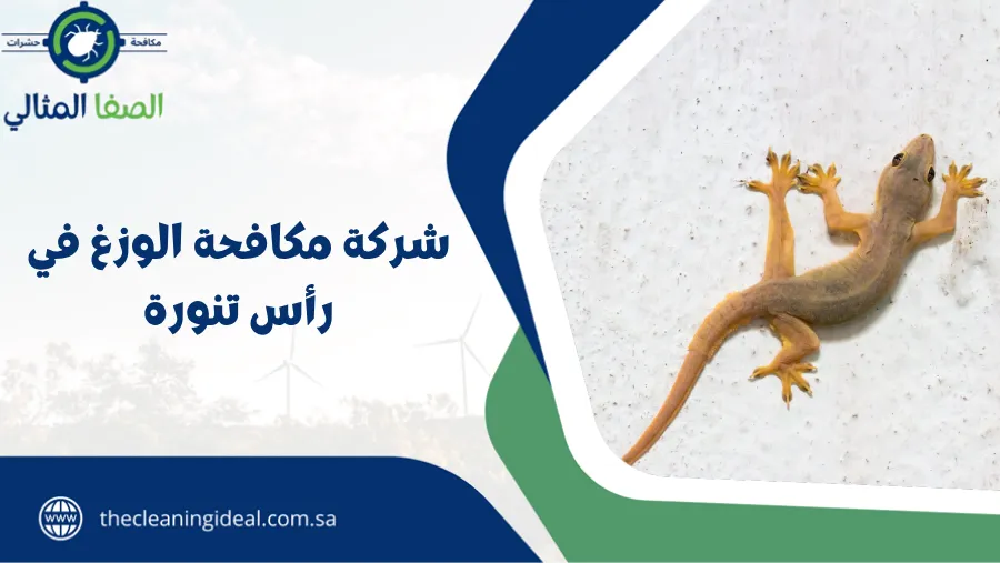 شركة مكافحة الوزغ في رأس تنورة
