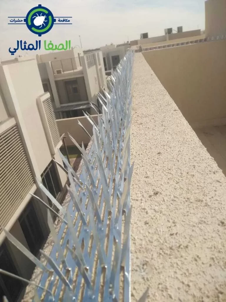 مكافحة الطيور والحمام