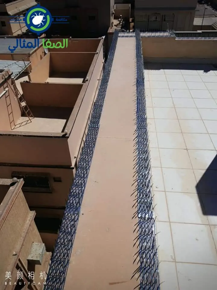 شبك طارد الحمام 