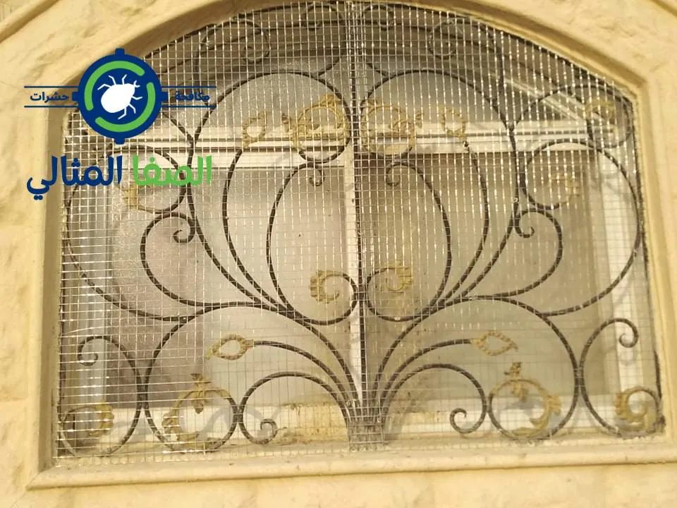 طرد الطيور من النوافذ