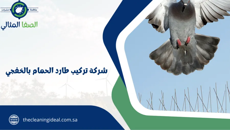 شركة تركيب طارد الحمام بالخفجي