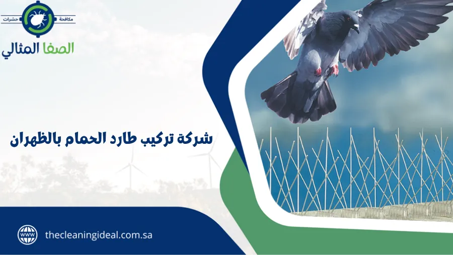 شركة تركيب طارد الحمام بالظهران