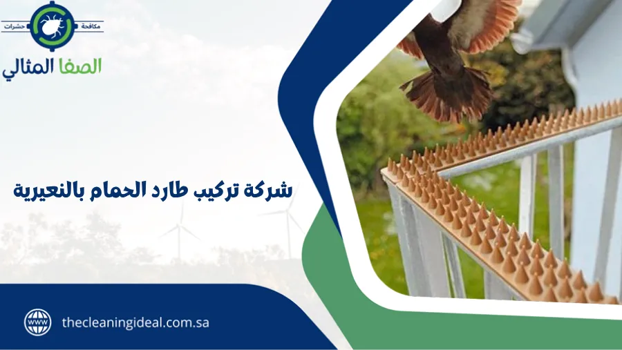 شركة تركيب طارد الحمام بالنعيرية