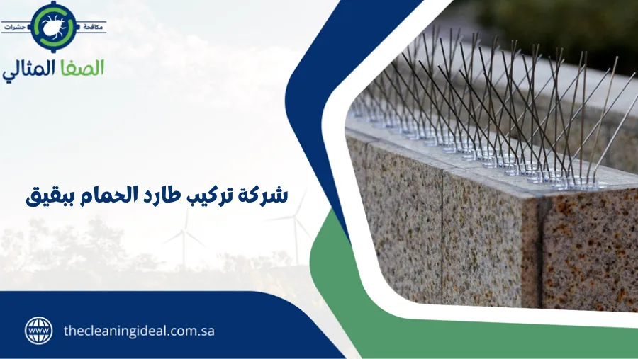 شركة تركيب طارد الحمام ببقيق