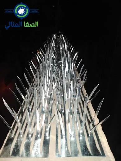 شركة القضاء على الحمام