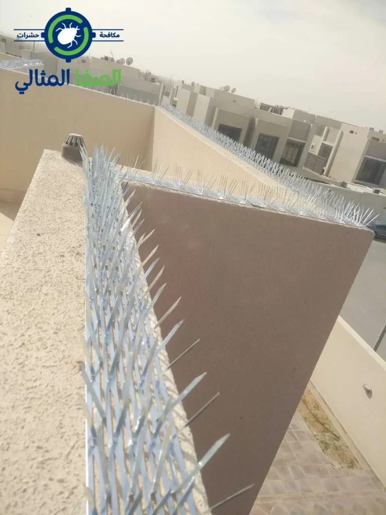 اشواك طاردة للحمام