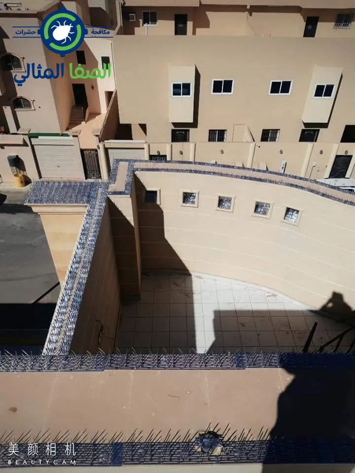 محاربة الحمام