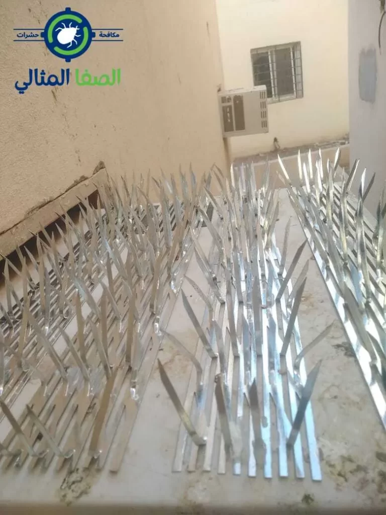 طرد الحمام من الأسطح