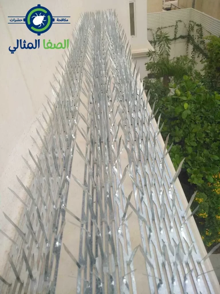 طرد الحمام من الحدائق