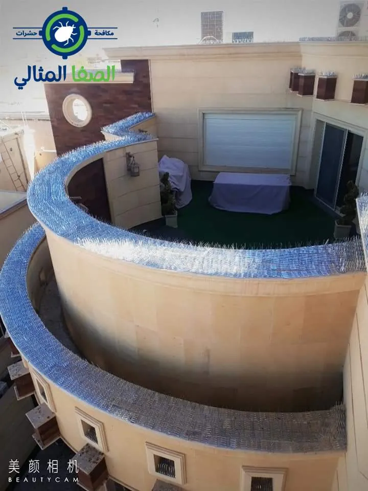 طرد الحمام من الشبابيك