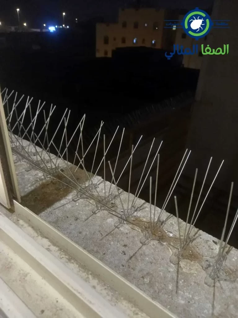 طرد الحمام من المنزل