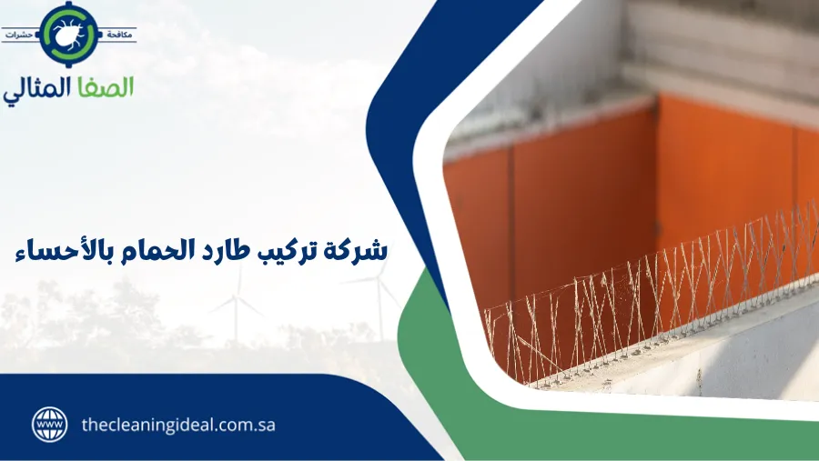 شركة تركيب طارد الحمام بالأحساء