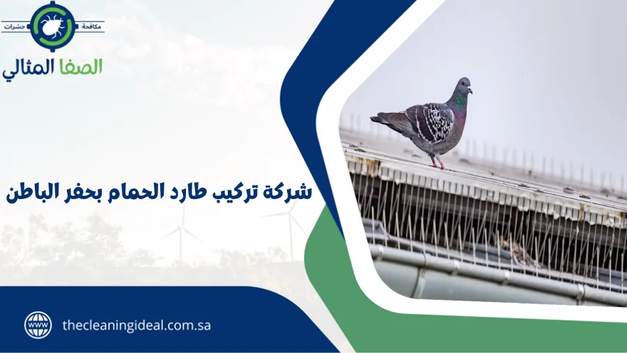 شركة تركيب طارد الحمام بحفر الباطن