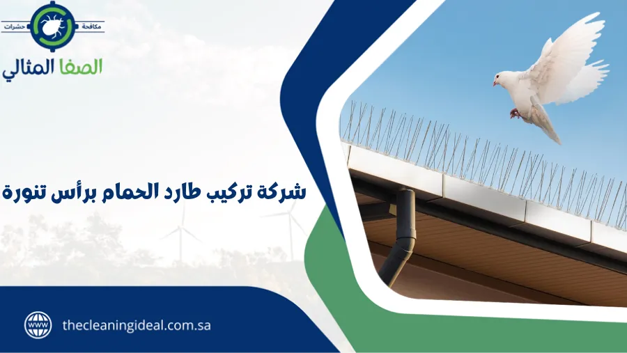 شركة تركيب طارد الحمام برأس تنورة