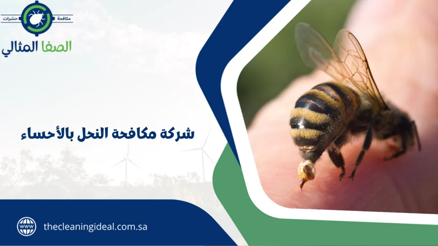 شركة مكافحة النحل بالأحساء